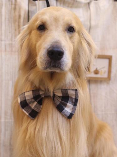 20241018マロンくん